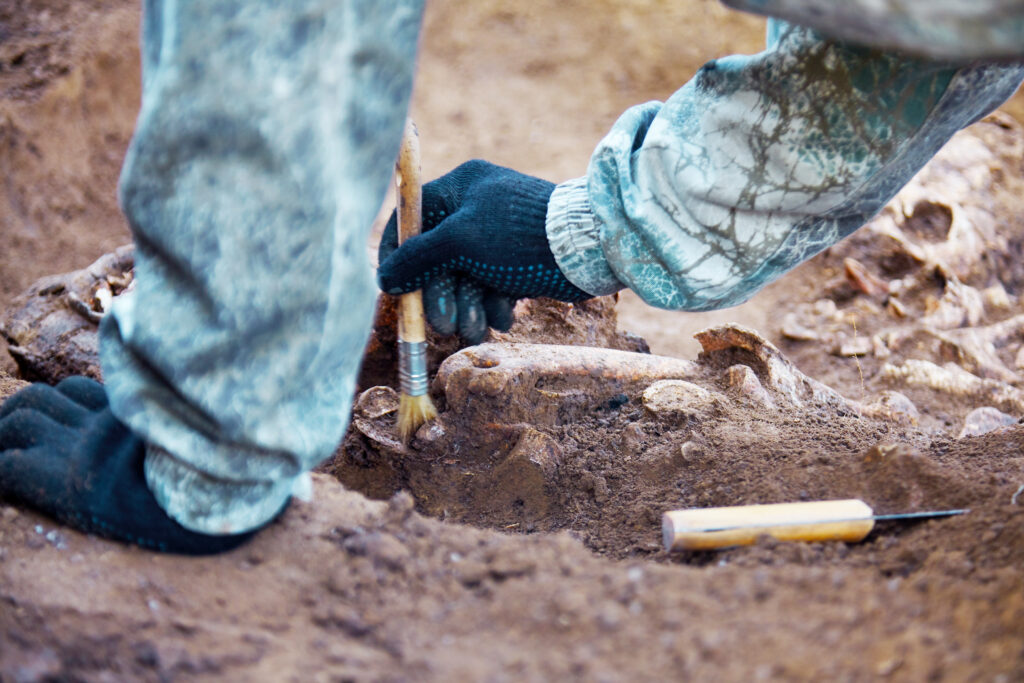 Archaeological,Excavation.,The,Hands,Of,Archaeologist,With,Tools,Conducting,Research